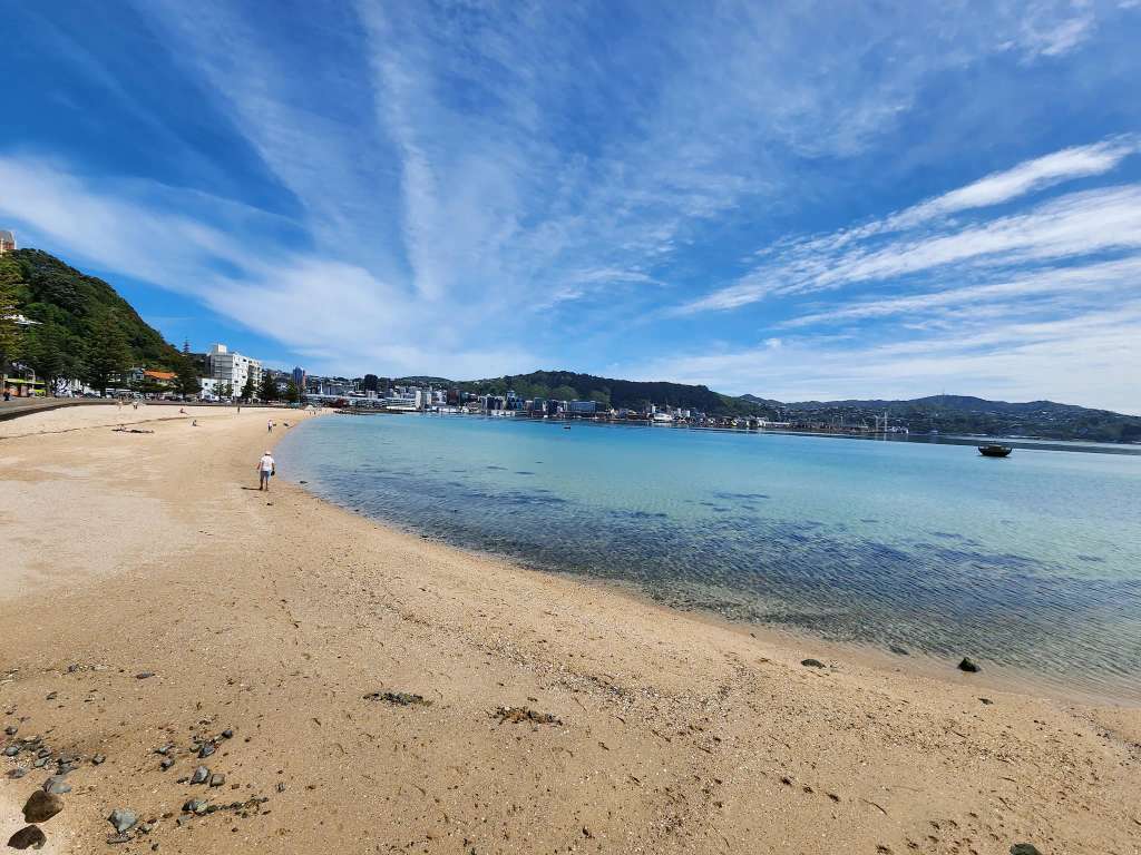 Oriental Bay Beach
