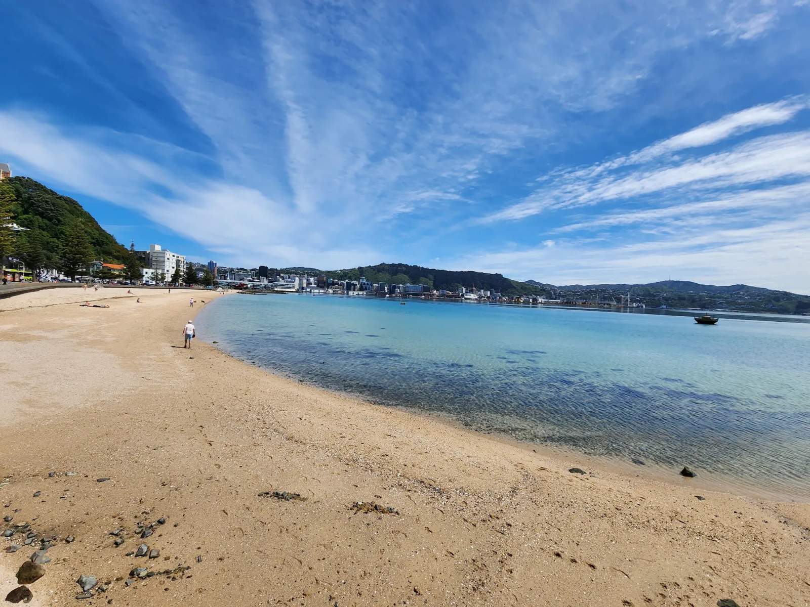Oriental Bay Beach — photo 1