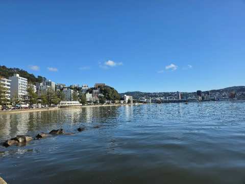 Oriental Bay Beach — photo 3