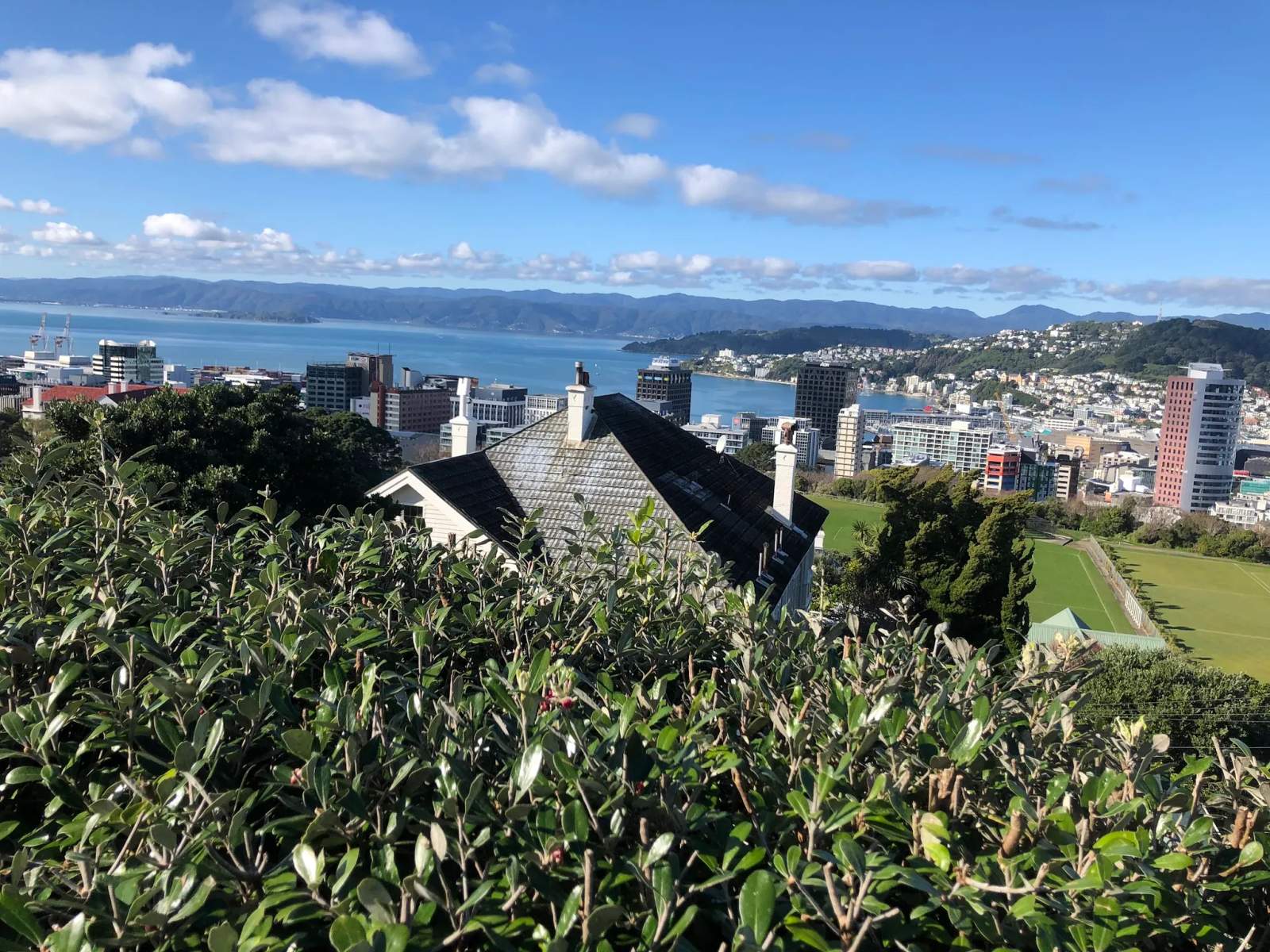 Kelburn Northland — photo 3