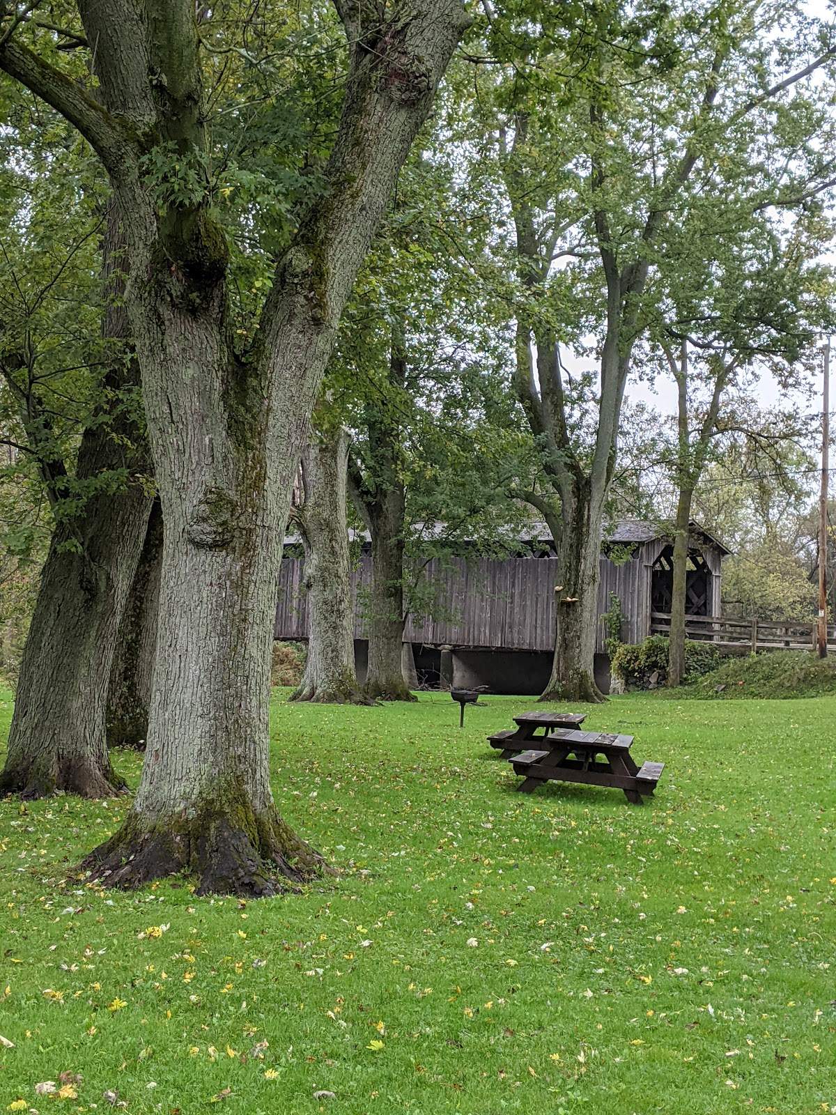Covered Bridge County Park — photo 8