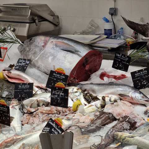 Carrefour Market Laroque-des-Albères — photo 4