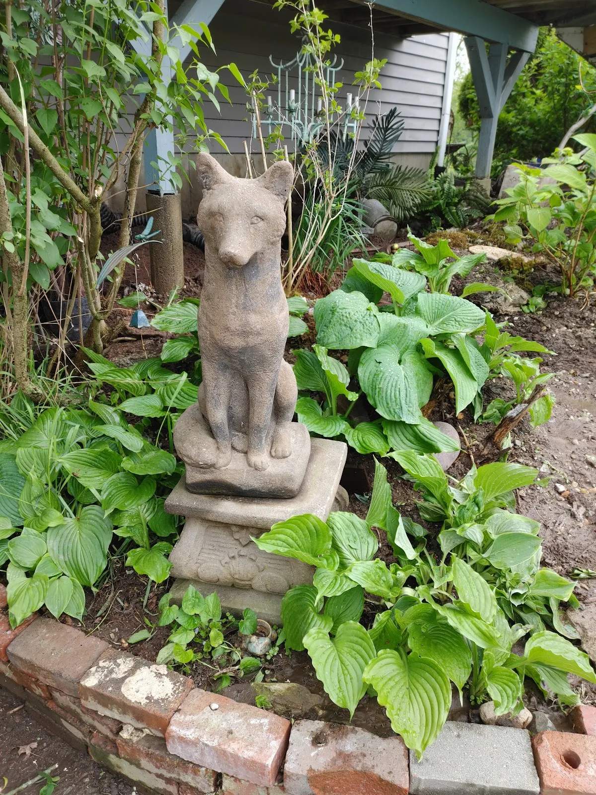 The Country Pup Woodbury CT — photo 1