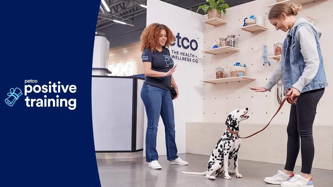 Petco Dog Training — photo 1