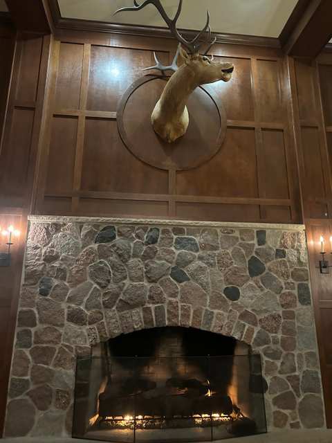 The Elk Room at The Osthoff Resort & Spa — photo 3