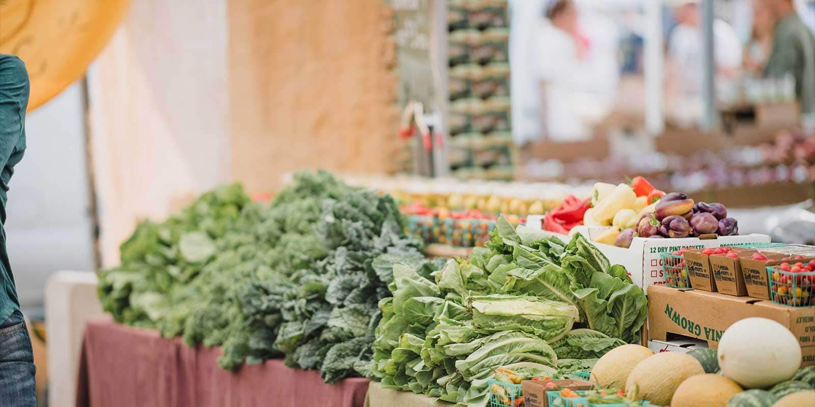 Waiwaste Food Rescue — photo 1