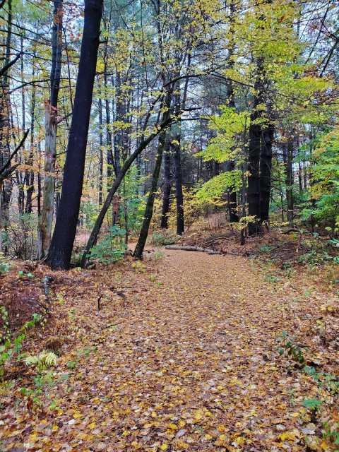 Flanders Nature Center & Land Trust — photo 3