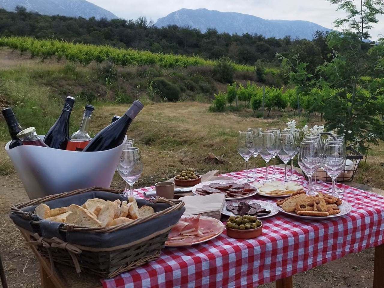 Vino Enigma - Vins & Expériences — photo 1