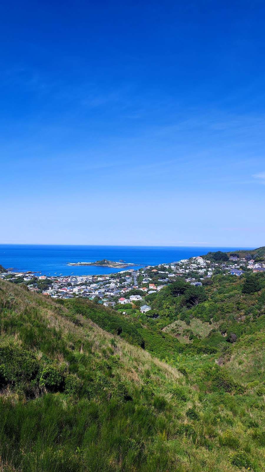Paekawakawa Reserve