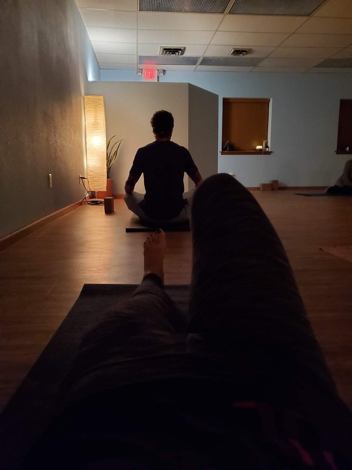 Blue Luna Yoga & Wellness — photo 5