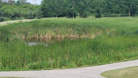 Pondview Park — photo 2