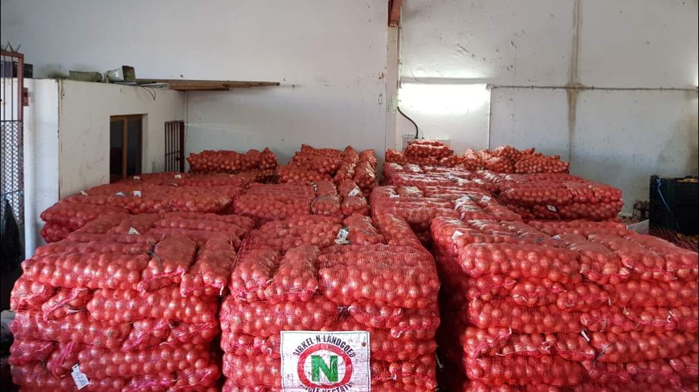 Singh's Wholesalers Singh's Fruit & Veg — photo 1