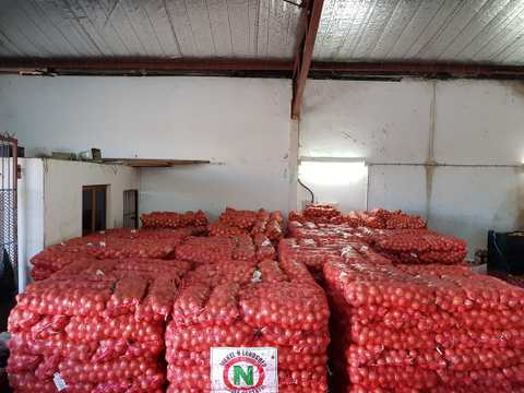 Singh's Wholesalers Singh's Fruit & Veg — photo 2
