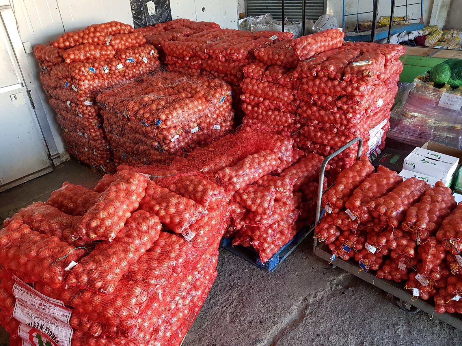 Singh's Wholesalers Singh's Fruit & Veg — photo 3