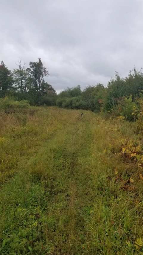 Bitzke Bird Walk and Wildlife Refuge — photo 2