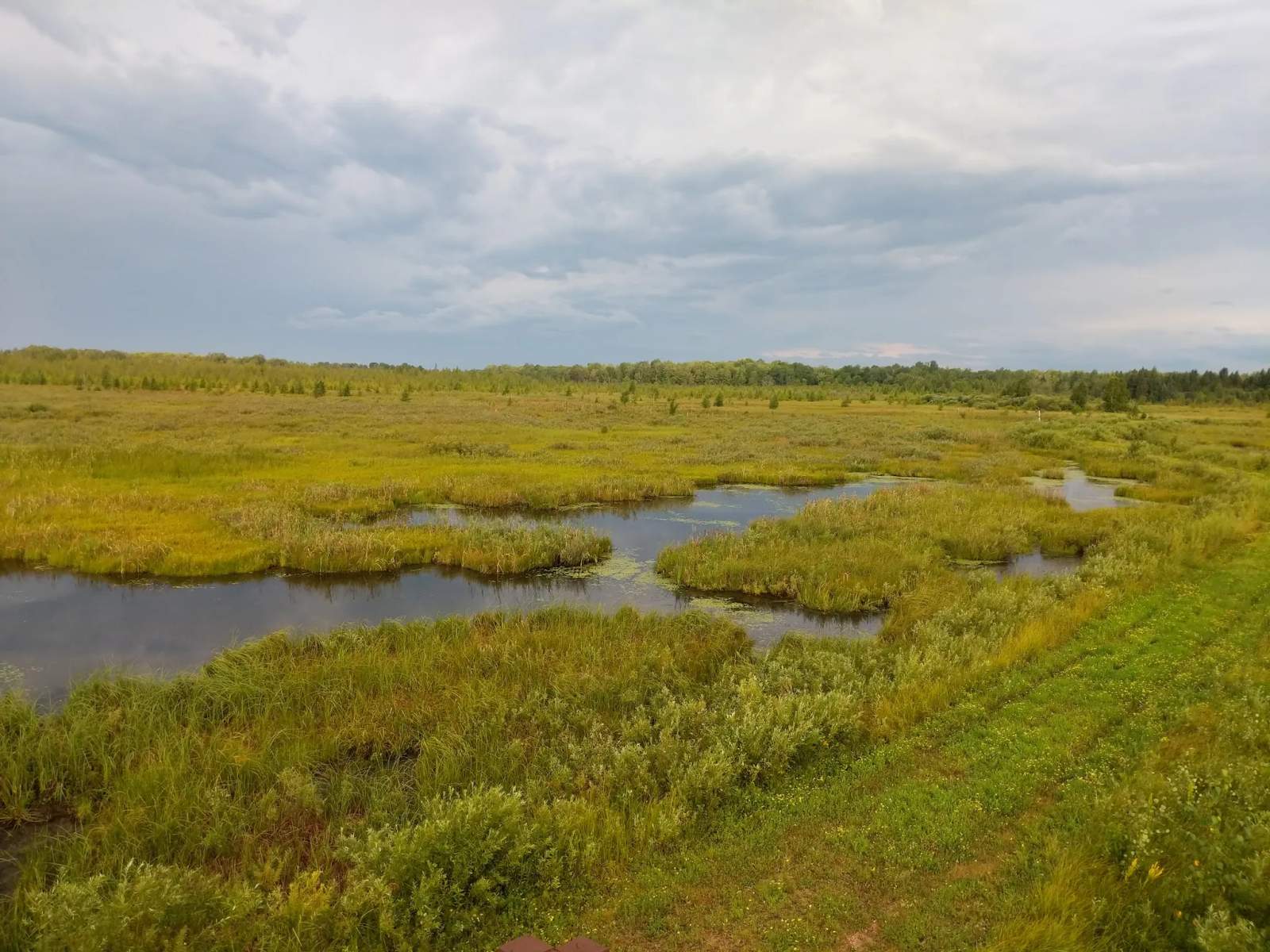 Bitzke Bird Walk and Wildlife Refuge — photo 1