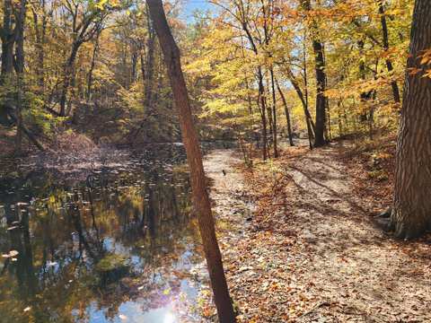 Ridge Run Park Central — photo 4