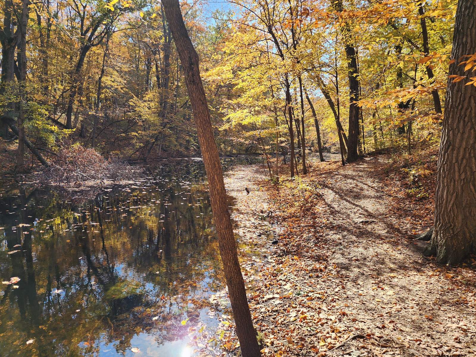Ridge Run Park Central — photo 4