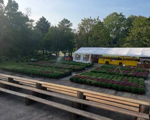 Alsum Sweet Corn Produce Stand — photo 3