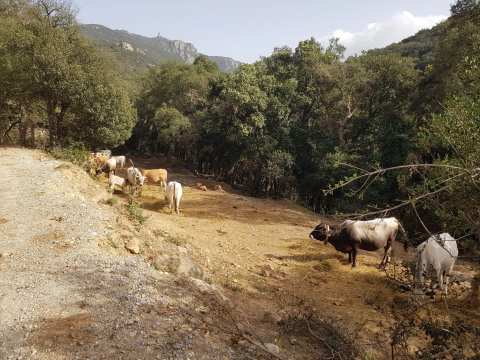 Gorge de Lavail — photo 3