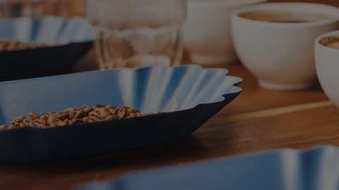 Torke Family Coffee Roasters — photo 3