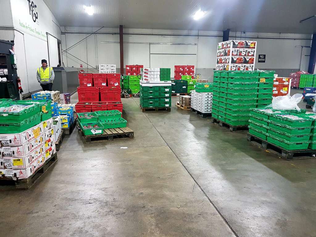 Turners & Growers Fresh