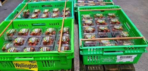 Turners & Growers Fresh — photo 2