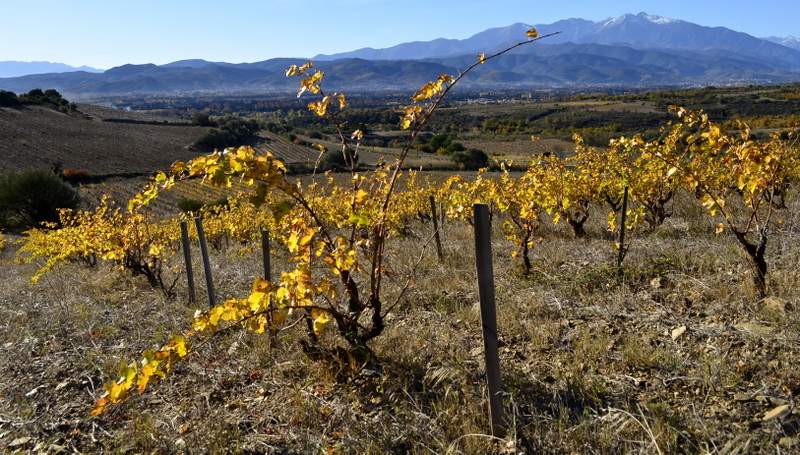 Domaine Boucabeille — photo 1