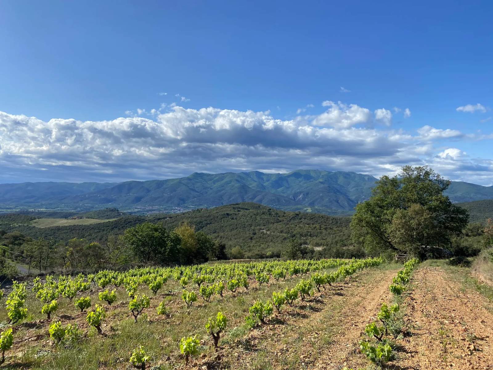 Domaine Jaça — photo 1