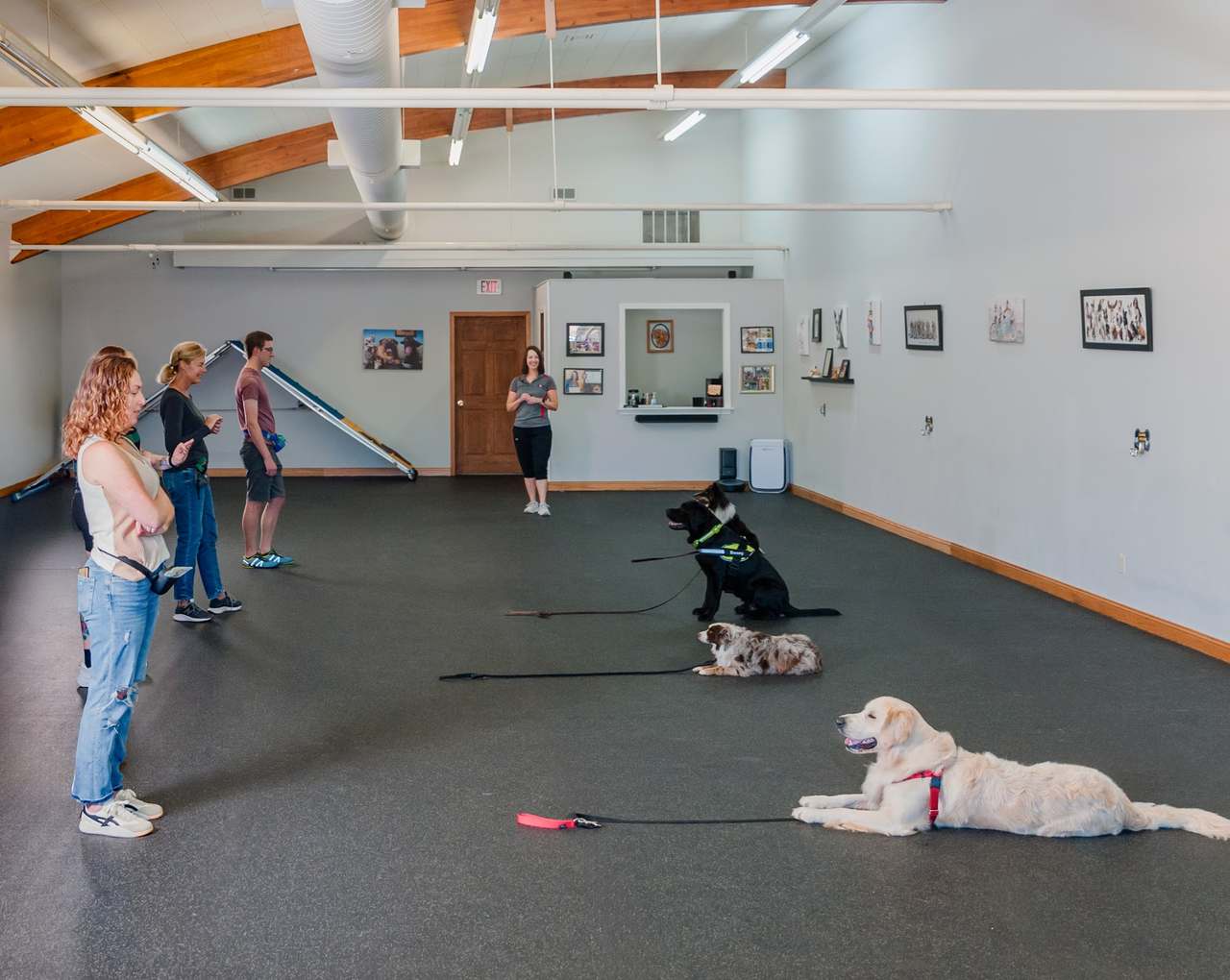 Go Over Rover Dog Training LLC — photo 3