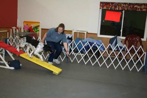 Go Over Rover Dog Training LLC — photo 4