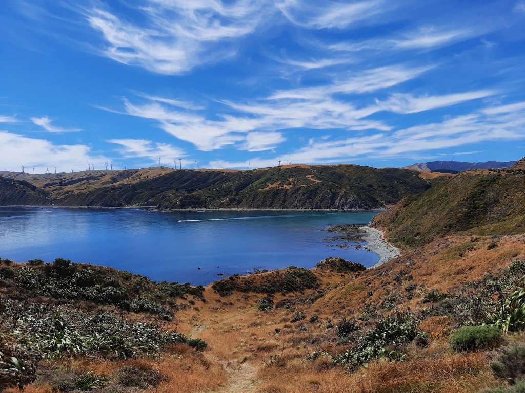 Makara Beach Walkway