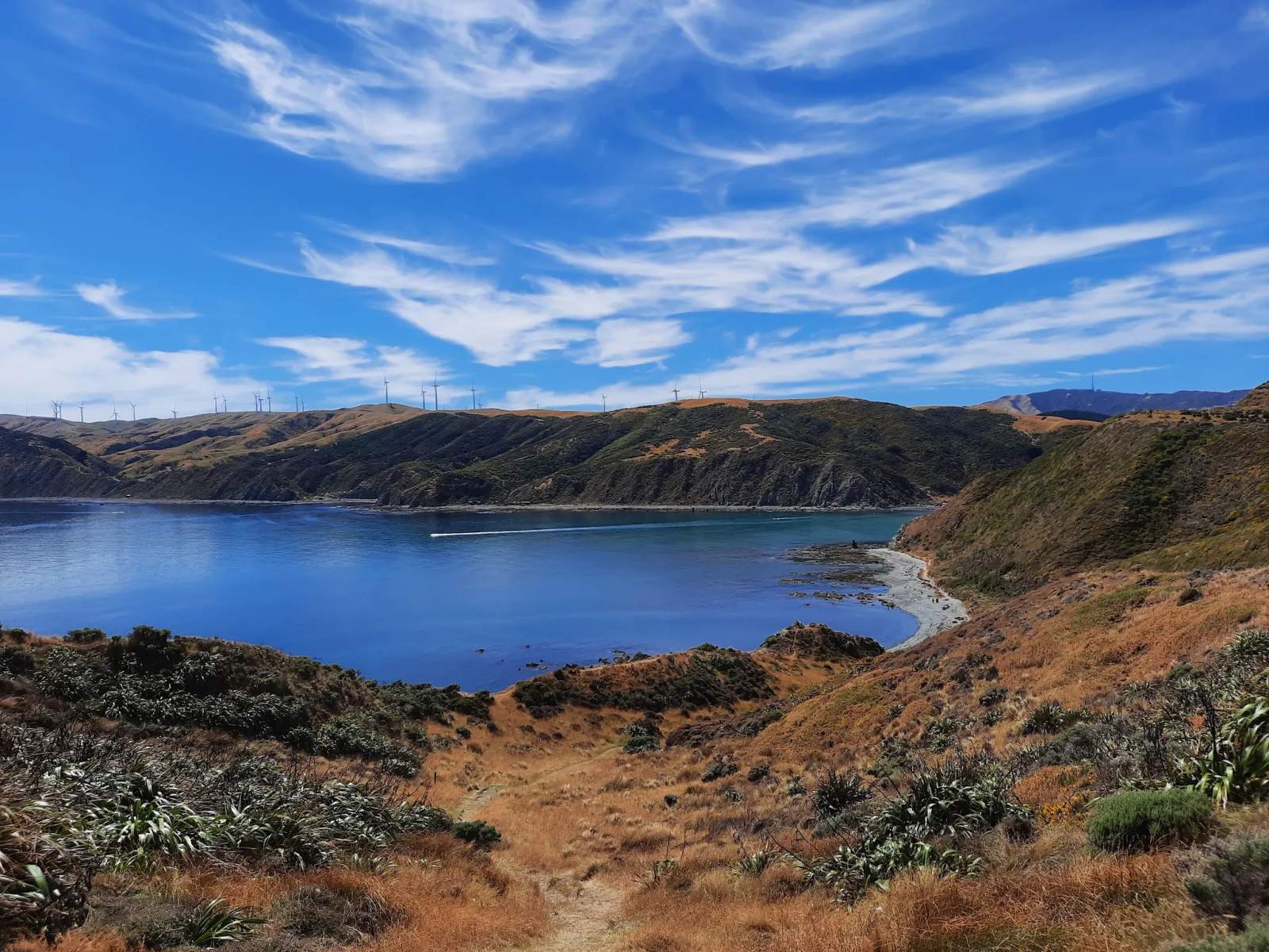 Makara Beach Walkway — photo 1