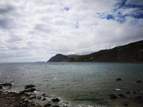 Makara Beach Walkway — photo 3