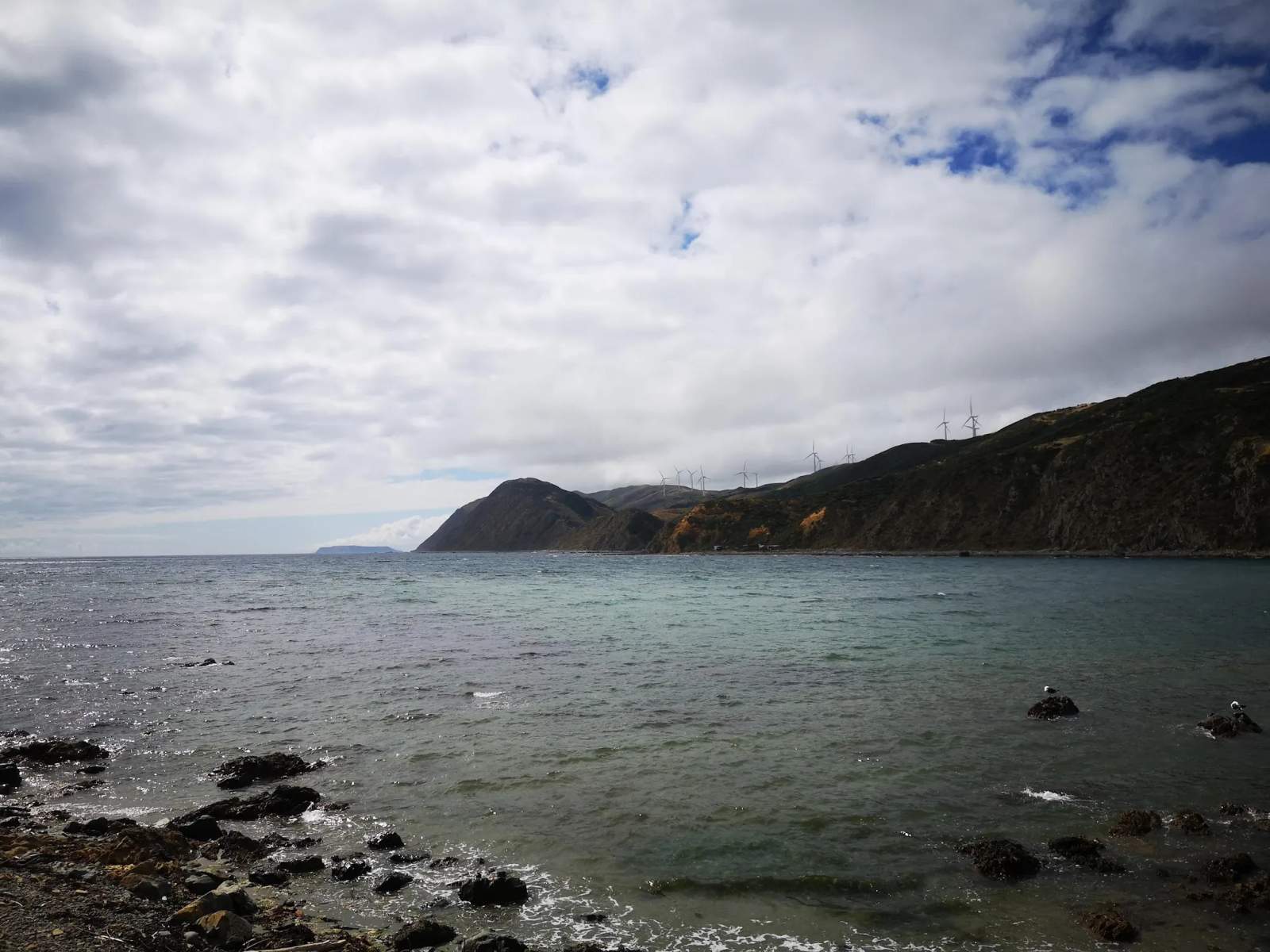 Makara Beach Walkway — photo 3