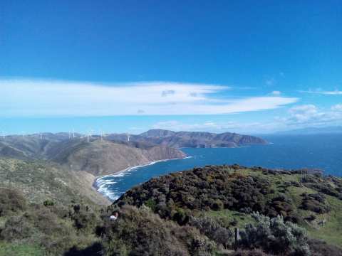 Makara Beach Walkway — photo 2