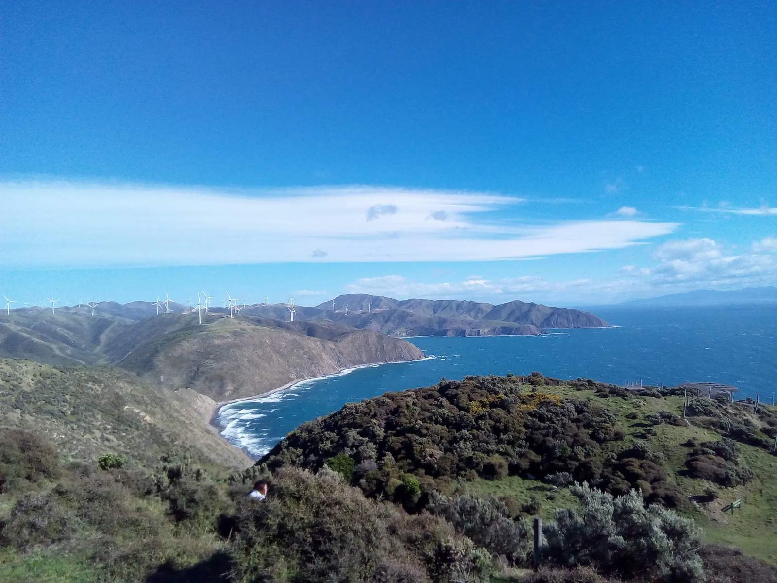 Makara Beach Walkway — photo 2