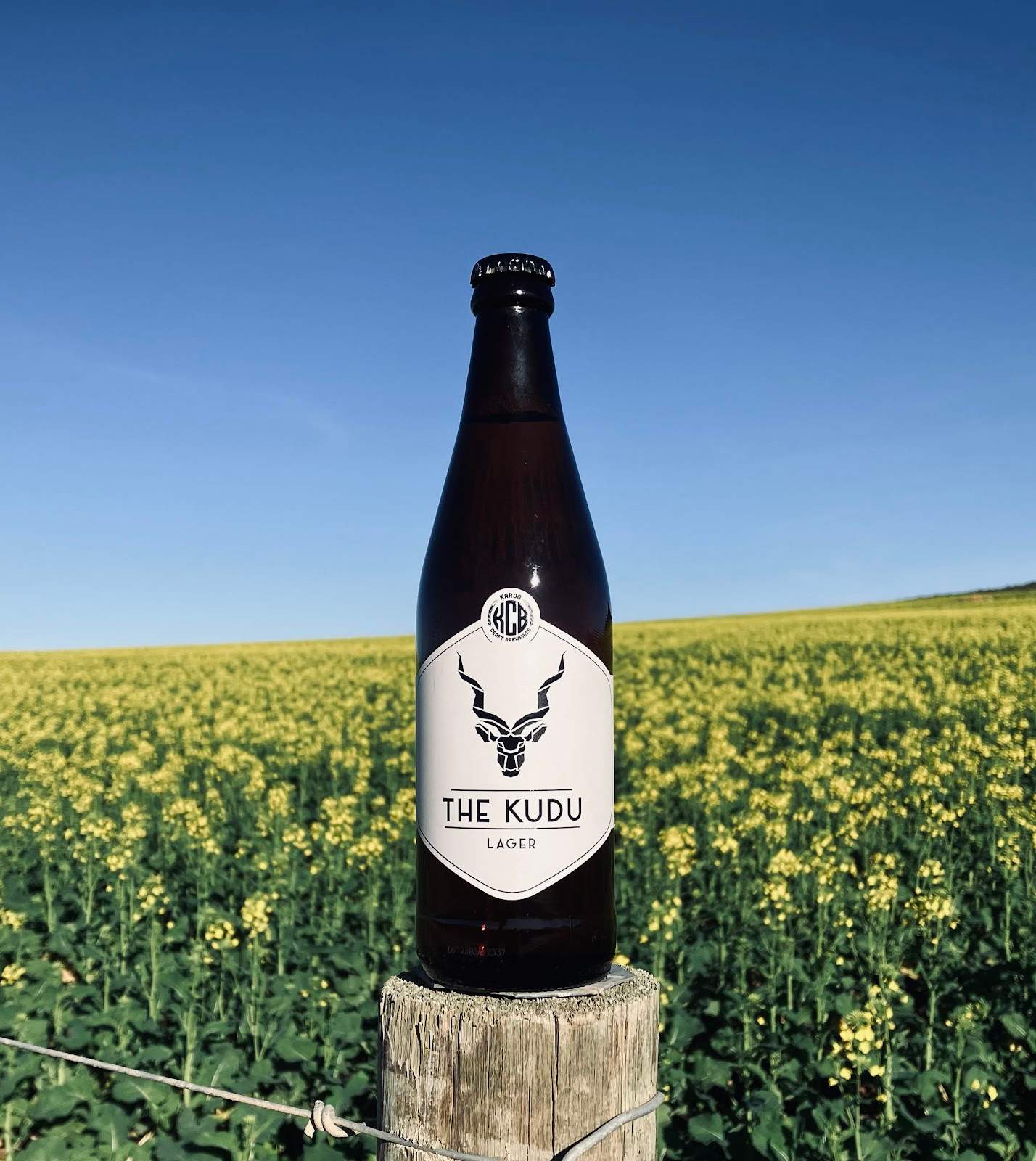 Karoo Craft Breweries — photo 5