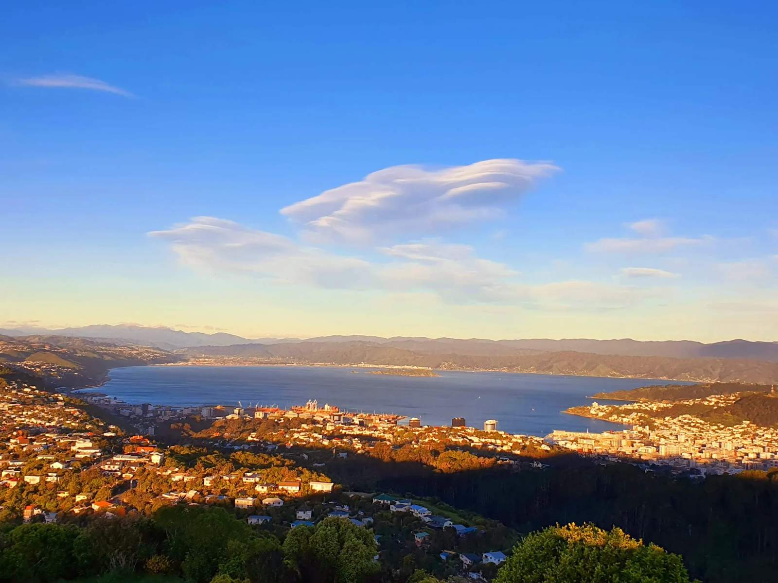 Wrights Hill Reserve — photo 1