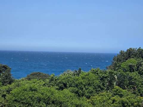 Ballito Quad Bikes — photo 5
