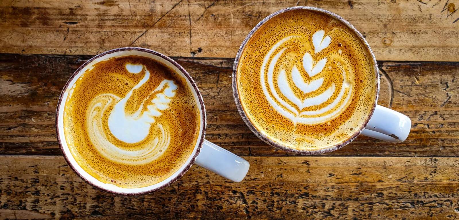 Loof Coffee — photo 2