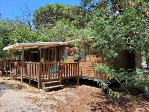 Camping La Coscolléda — photo 4
