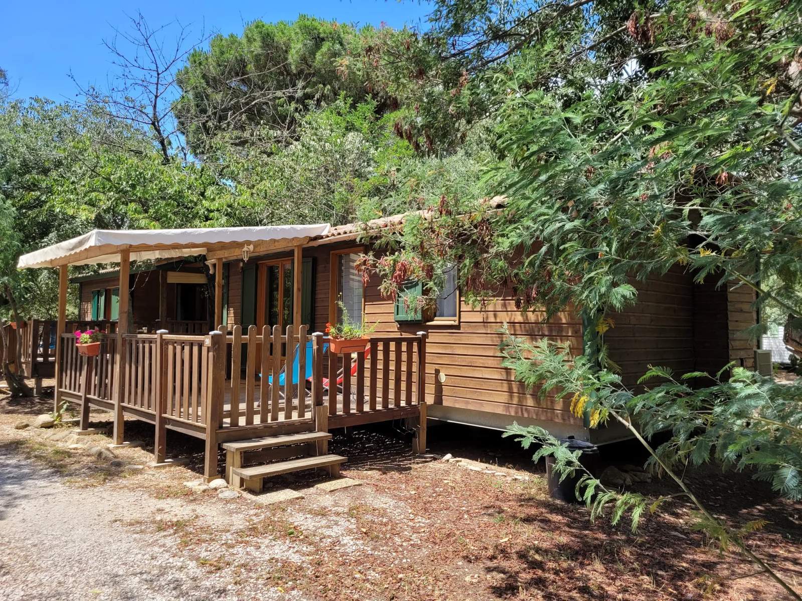 Camping La Coscolléda — photo 4