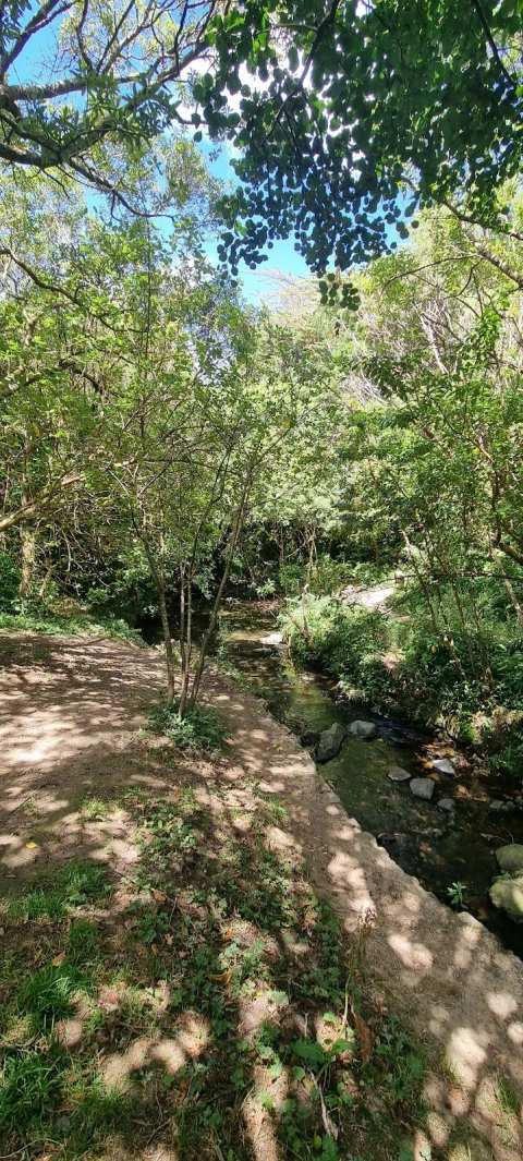 Cummings Park Dog Exercise Area/ Woof Woof Ruff — photo 3