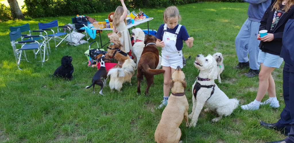 Cummings Park Dog Exercise Area/ Woof Woof Ruff