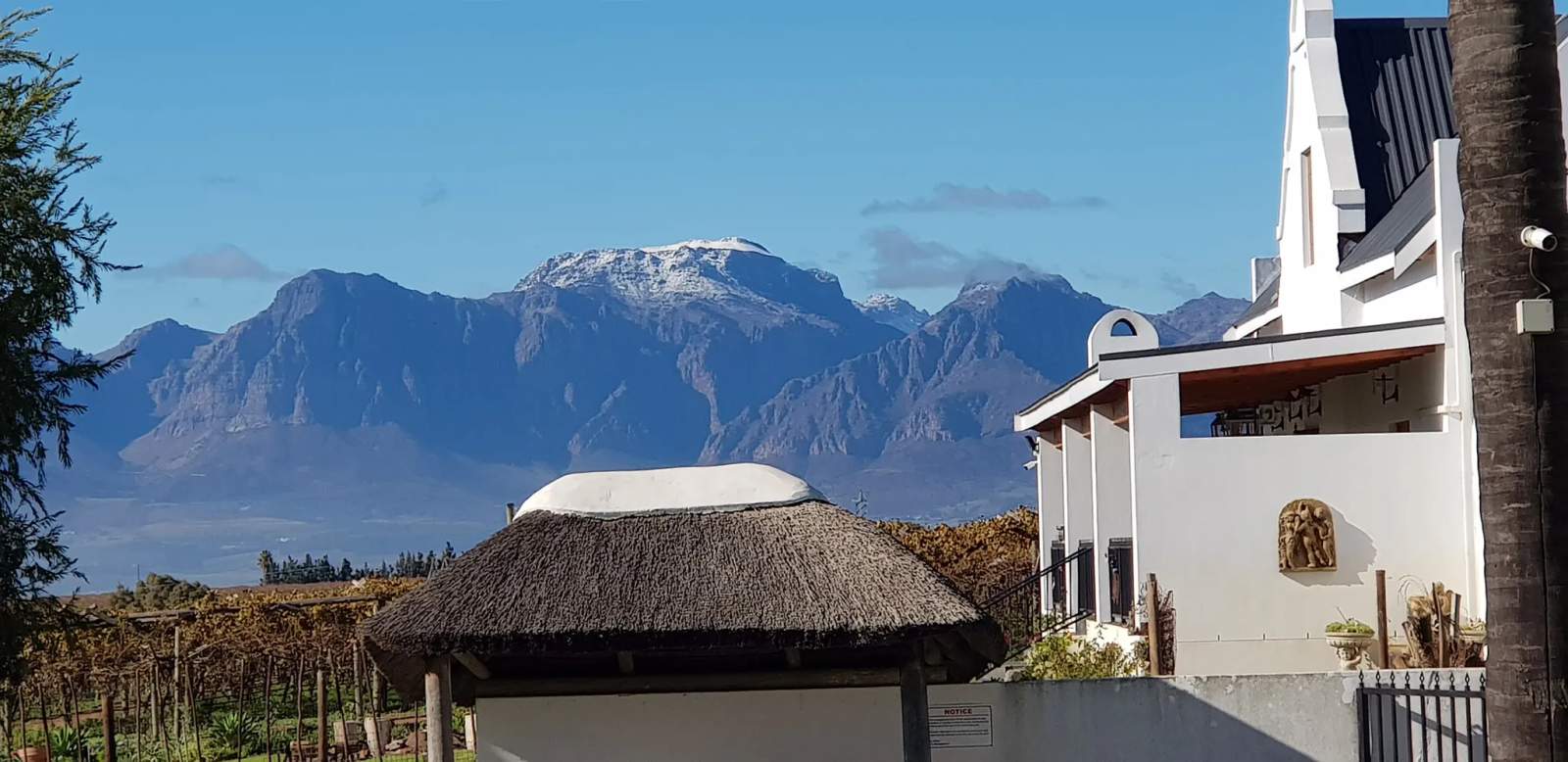 Zonnevanger Venue & Guesthouse — photo 1