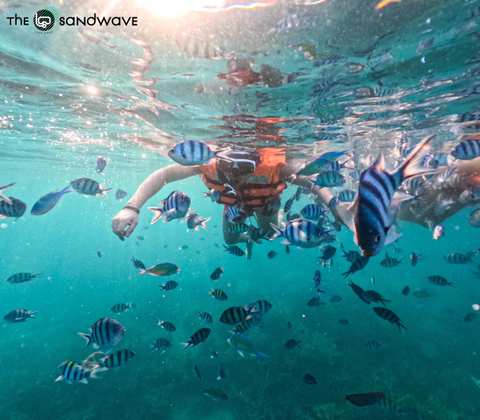 The Sandwave - Snorkeling & Fishing — photo 4