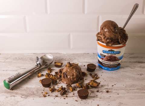 Cedar Crest Ice Cream — photo 3