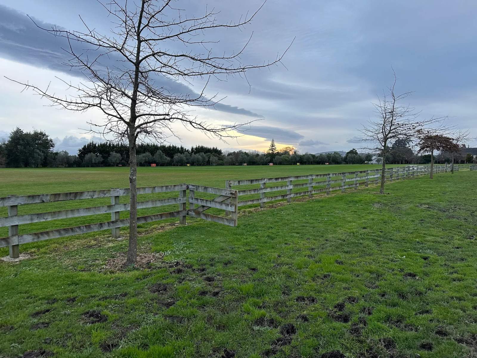 Considine Park — photo 1