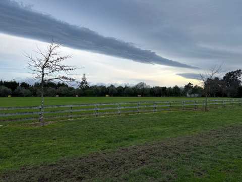 Considine Park — photo 3